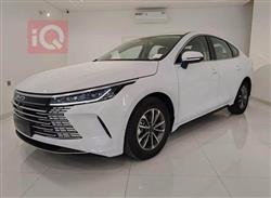 بی وای دی دیسترۆیەر 05